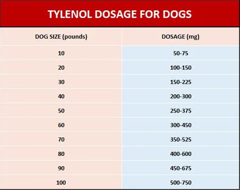 tylenol dosage for dogs