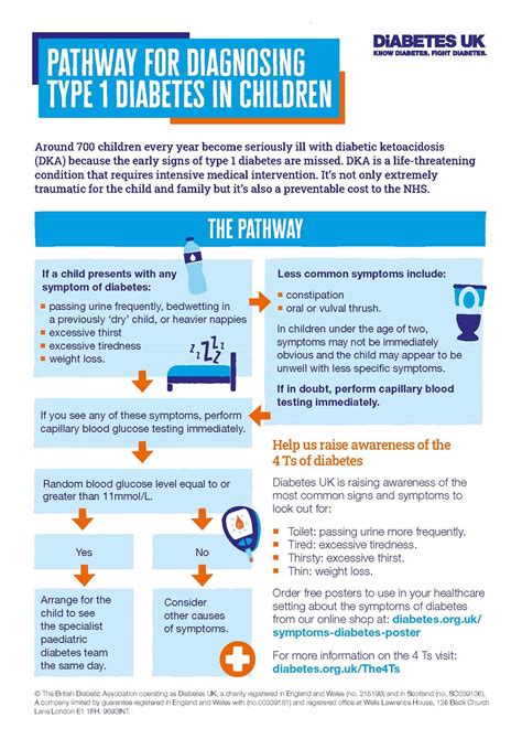 type 1 diabetes care guide PDF