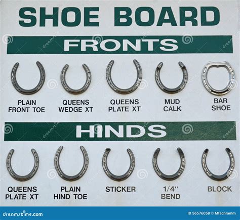 types of horse shoes