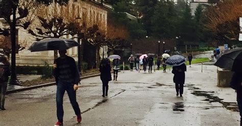 uc berkeley student dies