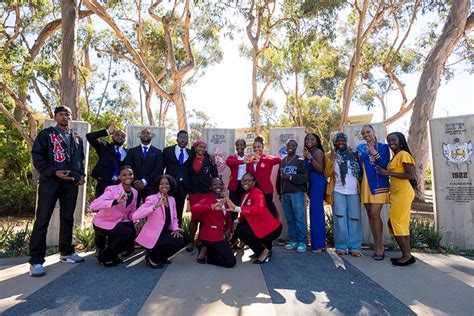 ucsd fraternities and sororities
