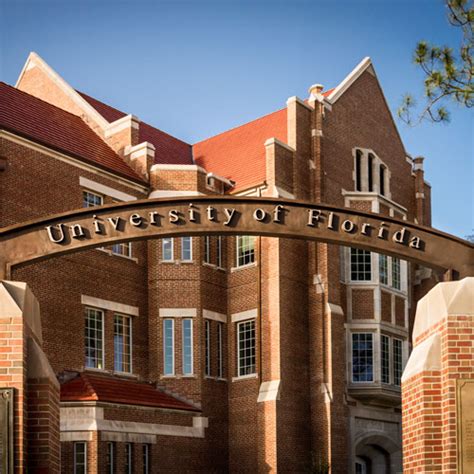 uf new ivy