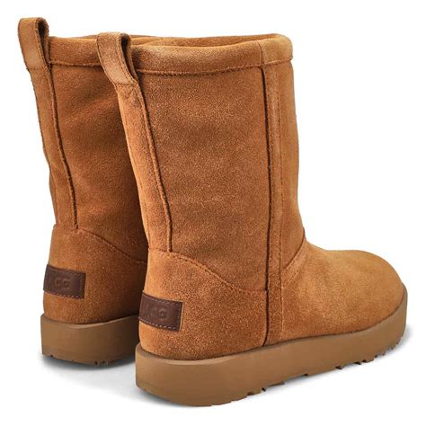 uggs classic short