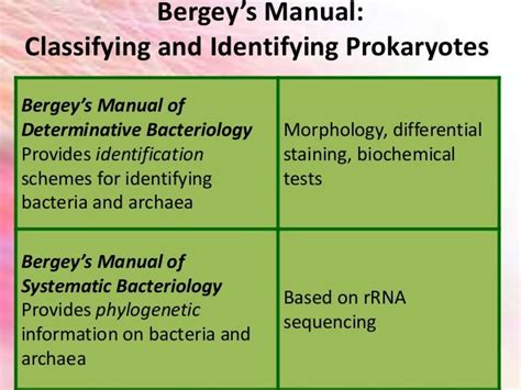 uknown identification and bergeys manual PDF