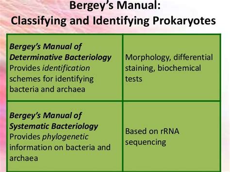 uknown identification and bergeys manual PDF