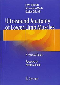 ultrasound anatomy of lower limb muscles a practical guide Kindle Editon