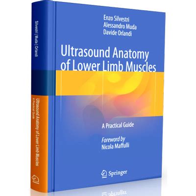 ultrasound anatomy of lower limb muscles a practical guide Kindle Editon