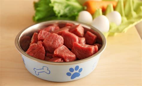 uncooked meat for dogs