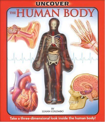 uncover the human body an uncover it book Epub