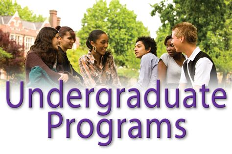 undergraduate program