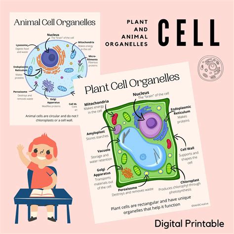 understanding cells free teacher resources digital 143506 pdf Reader