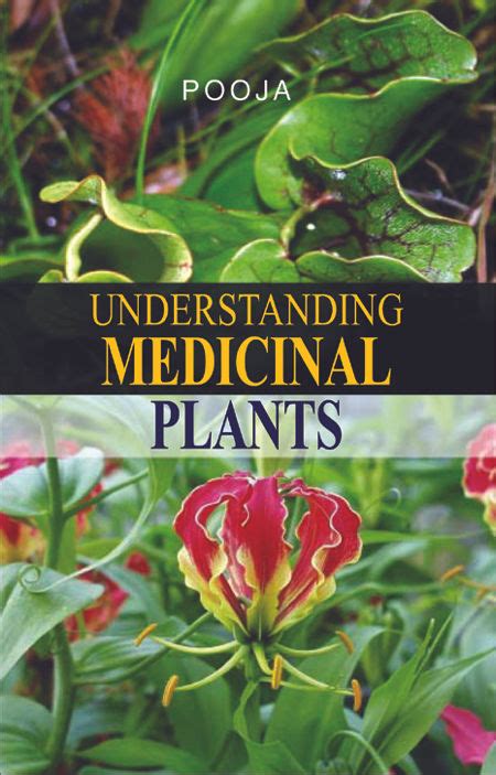 understanding medicinal plants understanding medicinal plants PDF