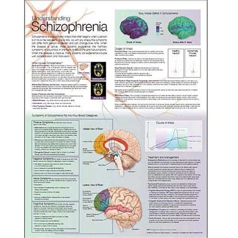 understanding schizophrenia anatomical chart Reader