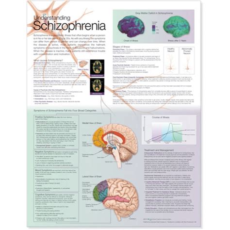 understanding schizophrenia anatomical chart Reader