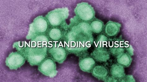 understanding viruses understanding viruses Reader