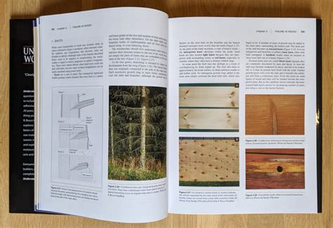 understanding wood a craftsmans guide to wood technology Reader