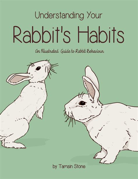 understanding your rabbits habits pdf PDF