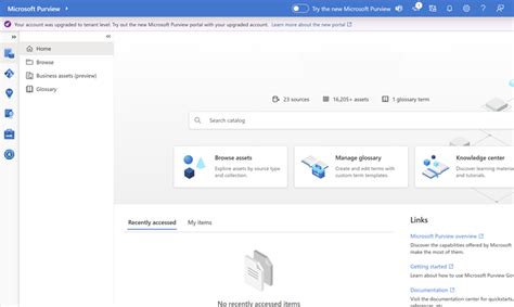 Unified Catalog Purview