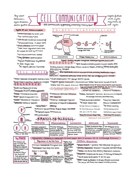 unit 4 ap bio
