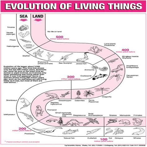 unit seven evolution of living things answers PDF