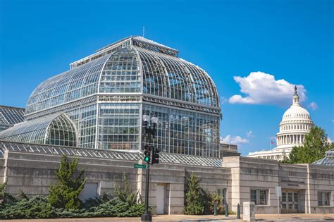 united states botanic garden dc