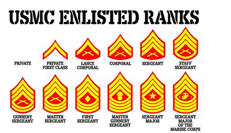 united states marine corps grade insignia since 1775 Kindle Editon