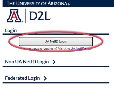 university of arizona netid