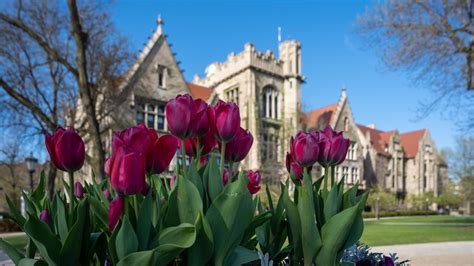 university of chicago board of trustees
