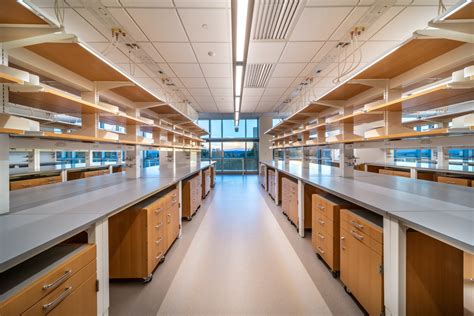 university of massachusetts amherst biomedical engineering