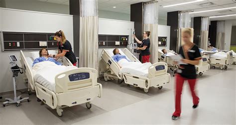 university of tampa nursing