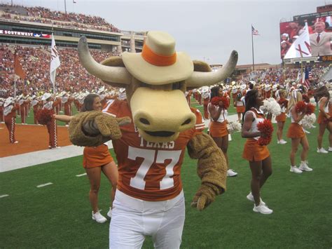 university of texas sports management