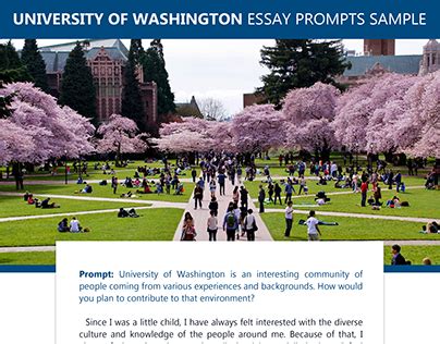 university of washington essay prompt 2013 Kindle Editon