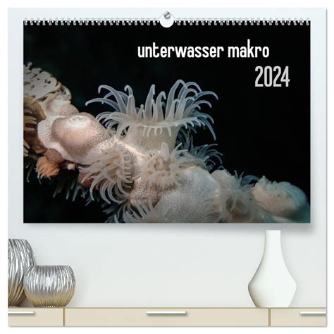 unterwasser makro 2016 wandkalender quer Reader