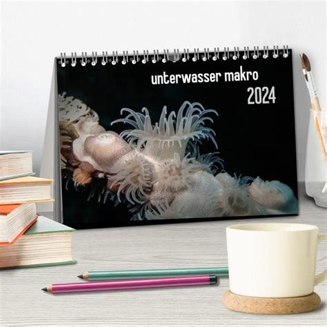 unterwasser makros tischkalender unterwasserwelt monatskalender Kindle Editon