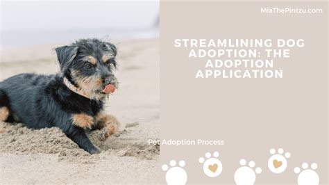 unveiling the adoption process Doc