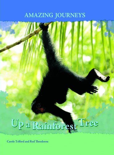 up a rainforest tree amazing journeys Doc
