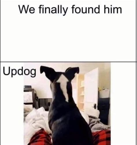 updog meme