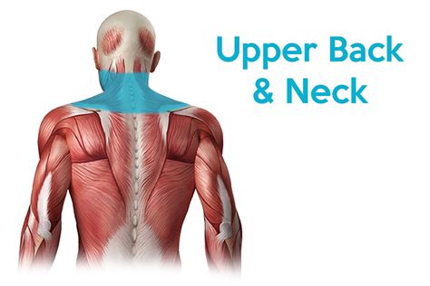 upper back neck pain functional patterns Reader