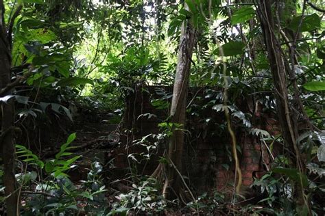 upper bukit timah road abandoned village