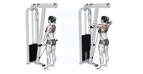 upright cable row