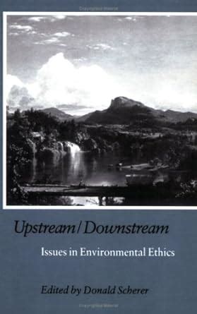 upstream or downstream issues in environmental ethics Reader