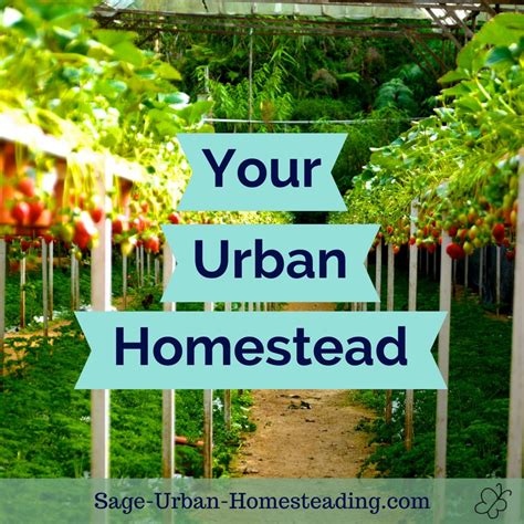 urban homesteading urban homesteading PDF