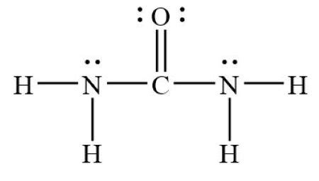 urea lewis structure