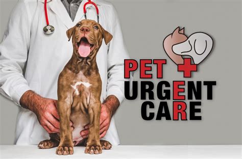 urgent care for pets