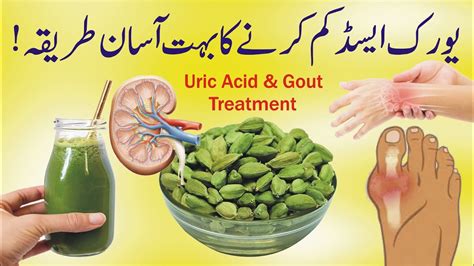 uric acid kam karne ka ghsrelo ilaj Kindle Editon