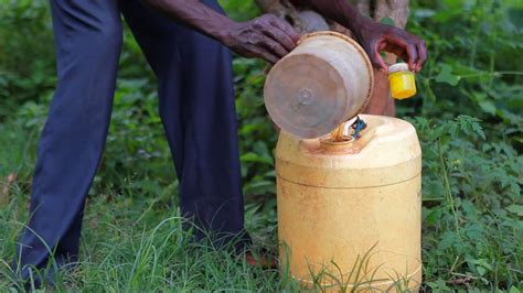 urine as fertilizer