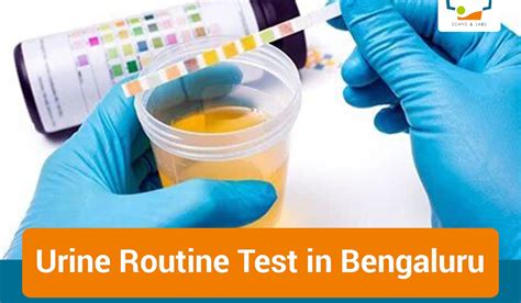 urine testing near me