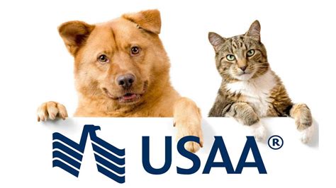 usaa pet insurance