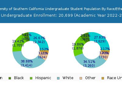 usc race demographics