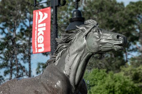 usca office of admissions